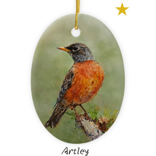 Orange American Robin Bird Painting Year Weihnacht Keramik Ornament
