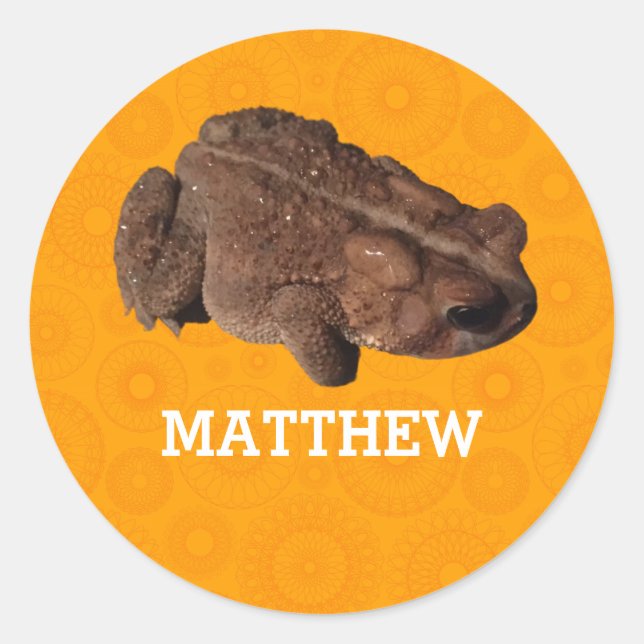 Orange American Toad Foto Personalisiert Runder Aufkleber (Vorderseite)