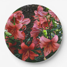 Orange Asiatic Lilies Floral