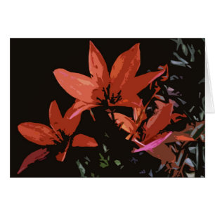 Orange asiatische Lilie