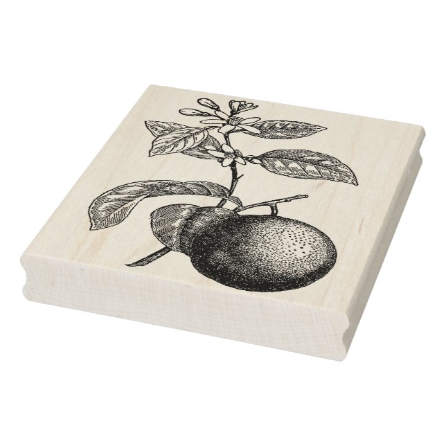 Orange auf Branntwein mit Blüten Gummistempel (Stempel)