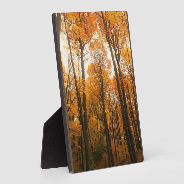 Orange Autumn Forest Fotoplatte (Seite)