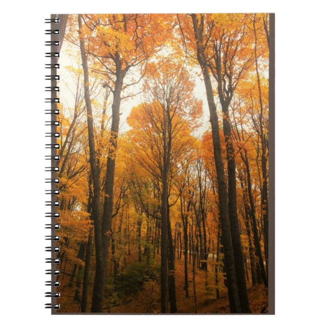 Orange Autumn Forest Notizblock (Vorderseite)
