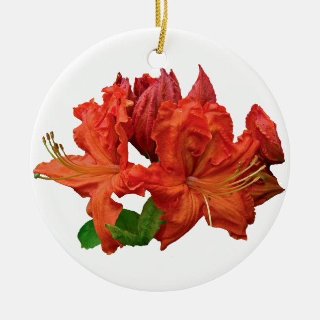 Orange Azalea Blüten Keramikornament (Vorne)