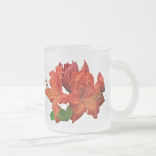 Orange Azalea Blüten Mattglastasse