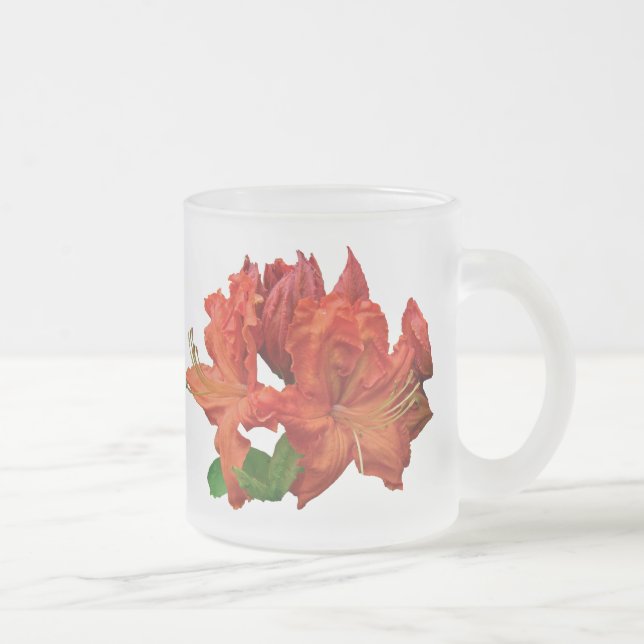 Orange Azalea Blüten Mattglastasse (Rechts)