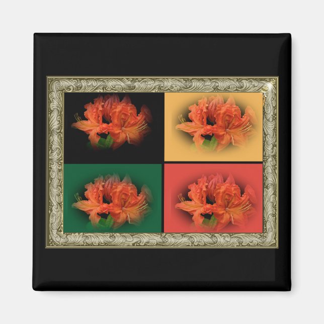 Orange Azaleas Magnet (Vorne)