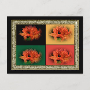 Orange Azaleas Postkarte