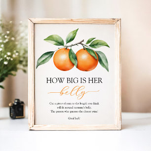 Orange Baby Shooting Bly Sign Poster