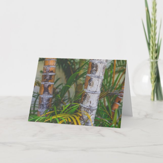 Orange Bambus Karte (Vorderseite)