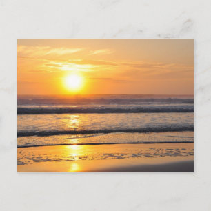 Orange Beach Sunrise Wilbur By Sea FL Carte Postal