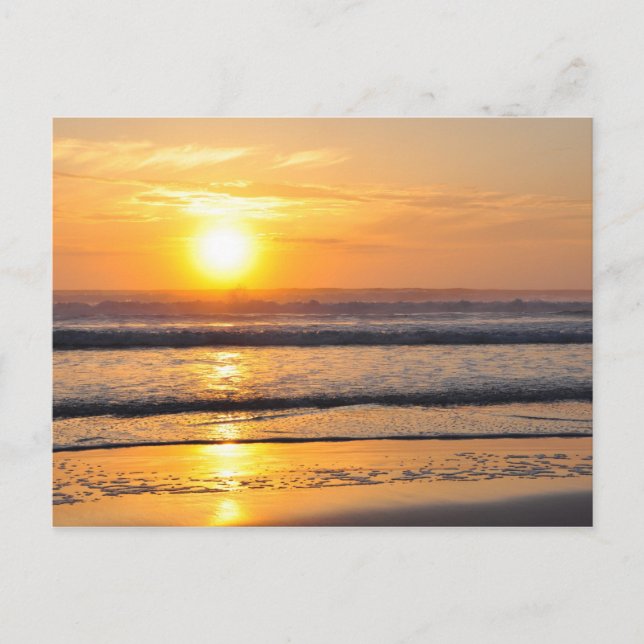 Orange Beach Sunrise Wilbur By Sea FL Carte Postal (Devant)