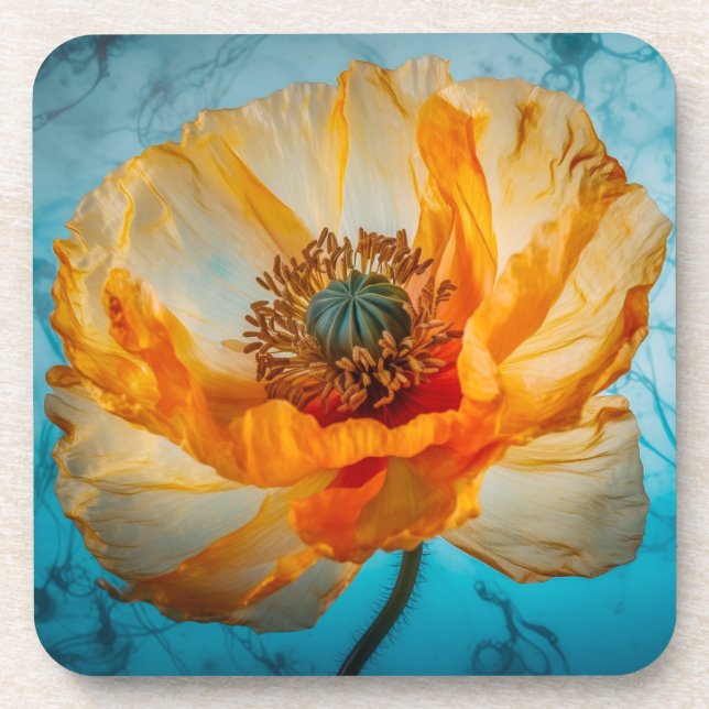 Orange Beauty Getränkeuntersetzer (Vorderseite)