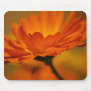 Orange Beauty Mousepad