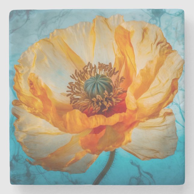 Orange Beauty Steinuntersetzer (Vorderseite)