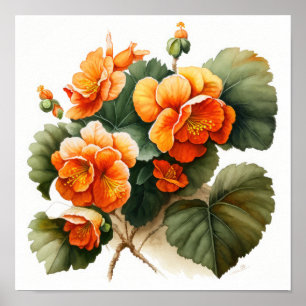 Orange Begonias Blume Art Print Poster