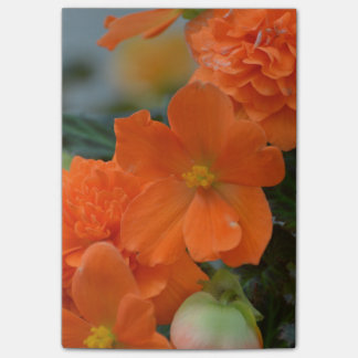 Orange Begonien Post-it Klebezettel