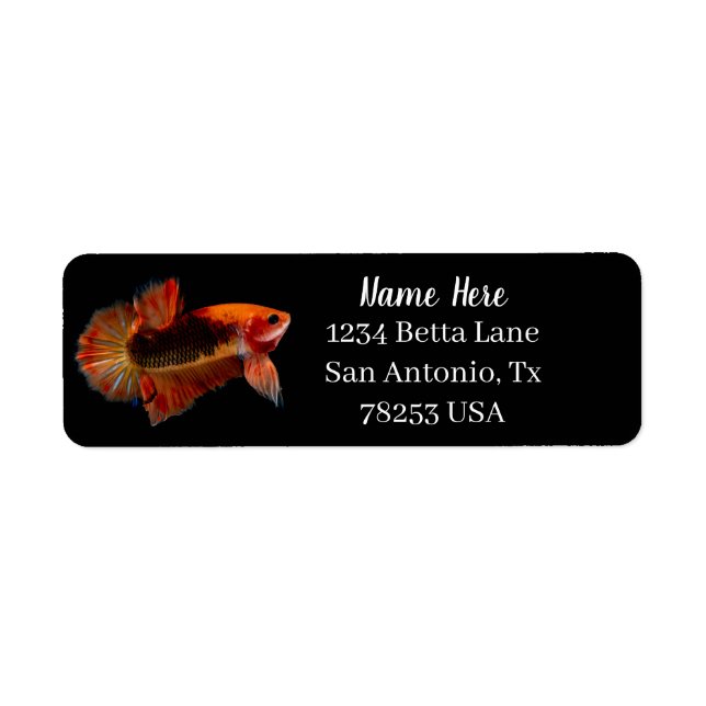 Orange Betta Fighting Fish Return Address (Vorne)