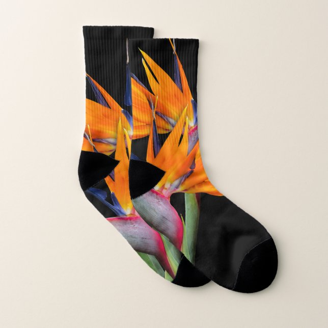 Orange Bird of Paradise Blume Socken (Paar)