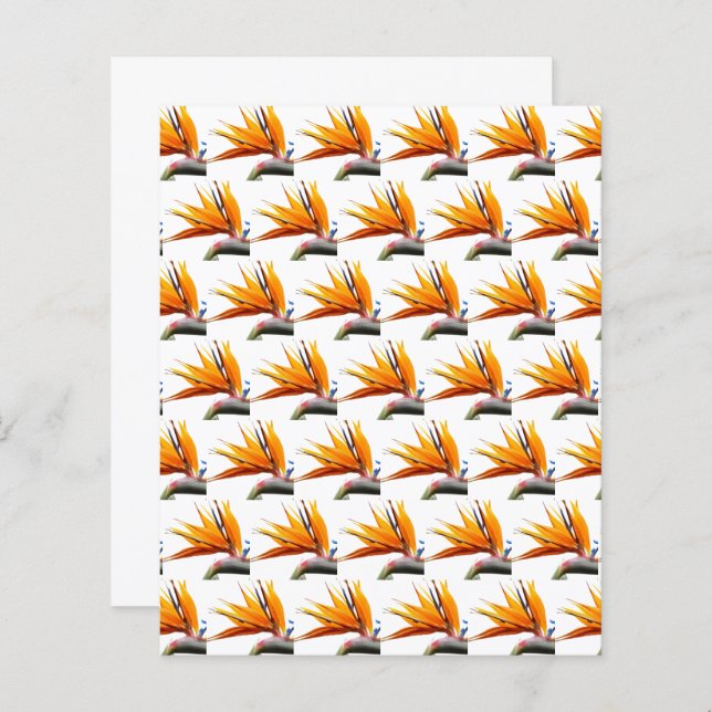 Orange Bird of Paradise Muster Scrapbook Paper (Vorne/Hinten)