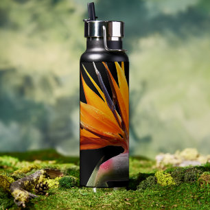 Orange Bird of Paradise Pflanze auf dem Schwarzen  Trinkflasche