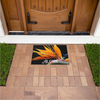 Orange Bird of Paradise Pflanze Bloom Aloha