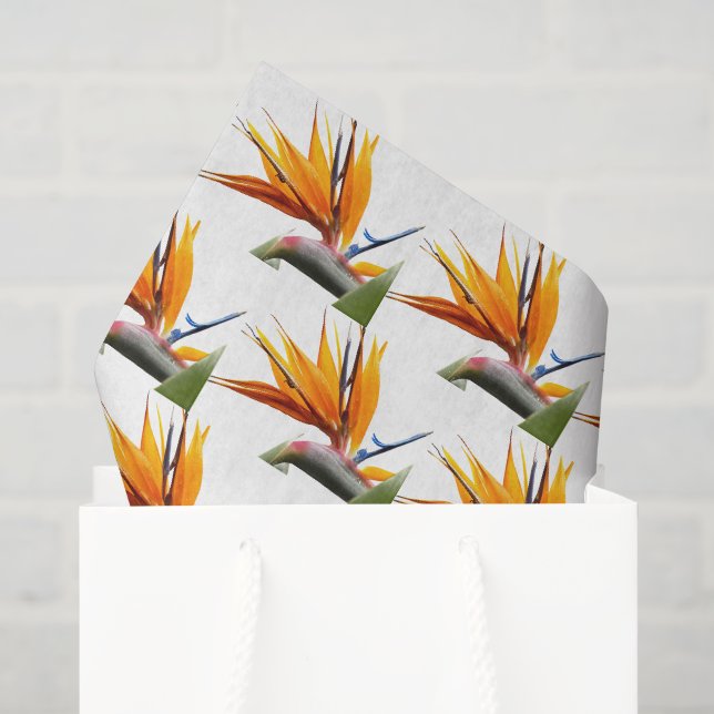 Orange Bird of Paradise Pflanze Blumenmuster Seidenpapier (Geschenktüte)