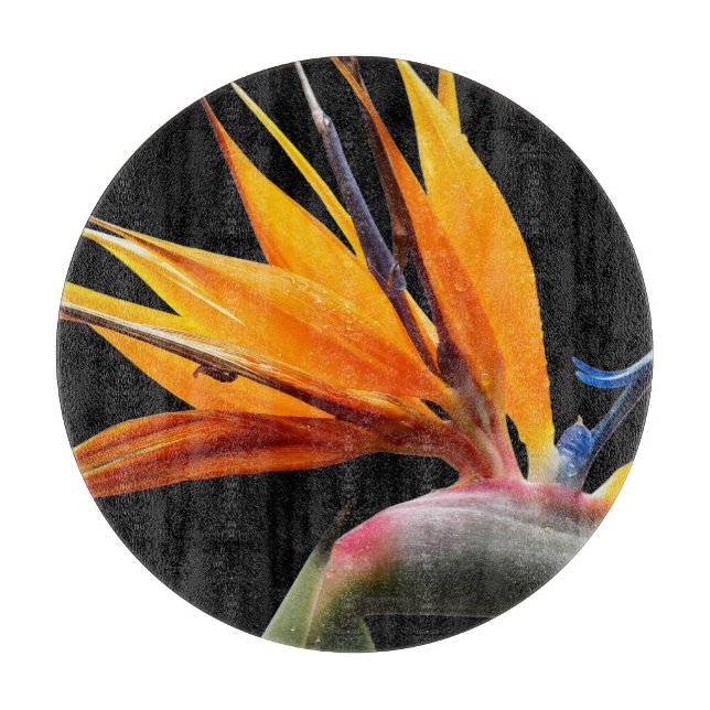 Orange Bird of Paradise Pflanze Blütenblume Schneidebrett (Vorderseite)