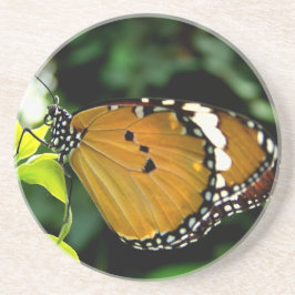 Orange, Black and White Butterfly on Leaf Sandstein Untersetzer