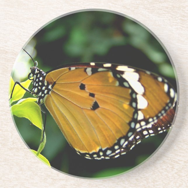 Orange, Black and White Butterfly on Leaf Sandstein Untersetzer (Vorne)
