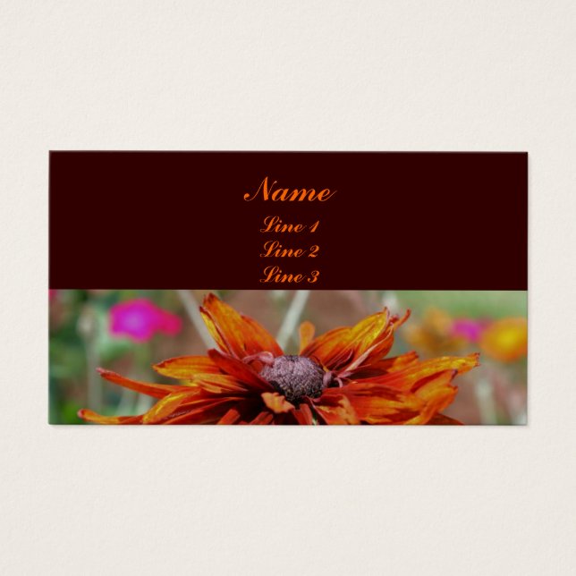 Orange Black Eyed Susan Daisy Flower (Devant)