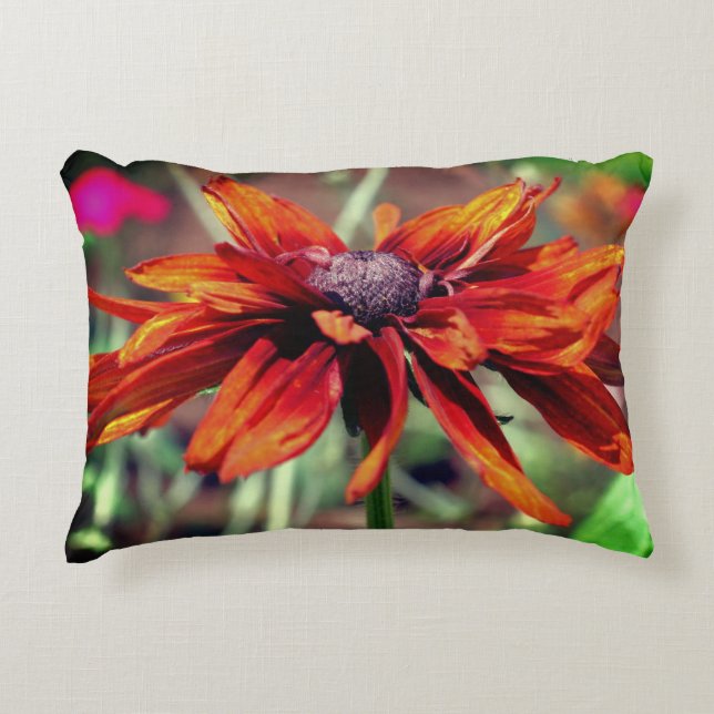 Orange Black Mit Augen Susan Blume Nah Up Dekokissen (Vorderseite)
