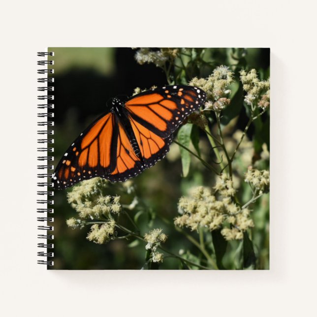 Orange Black Monarch Butterfly Naturfotografie Notizbuch (Vorderseite)