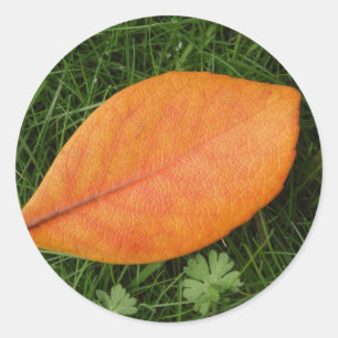 Orange Blatt-Aufkleber Runder Aufkleber
