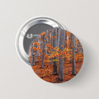 Orange Blätter Fall Forest Foto Button