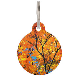 Orange Blätter Haustiermarke