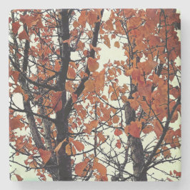 Orange Blätter Steinuntersetzer