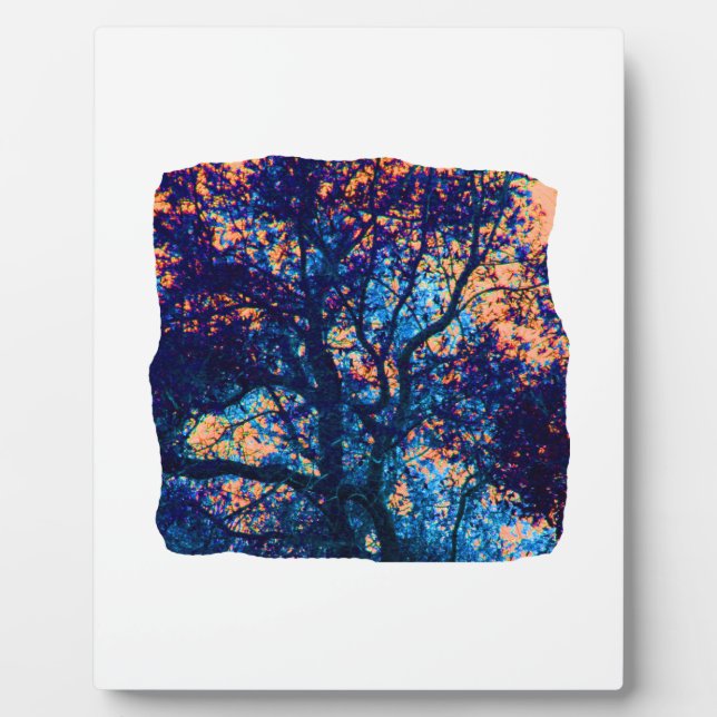 Orange Blue Oak Tree Abstrakt Branch Fotoplatte (Vorderseite)