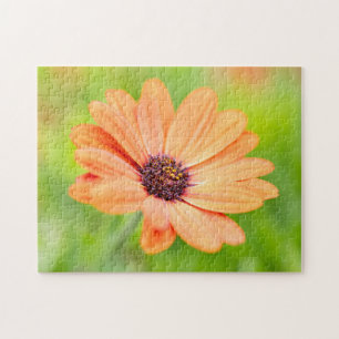 Orange Blume