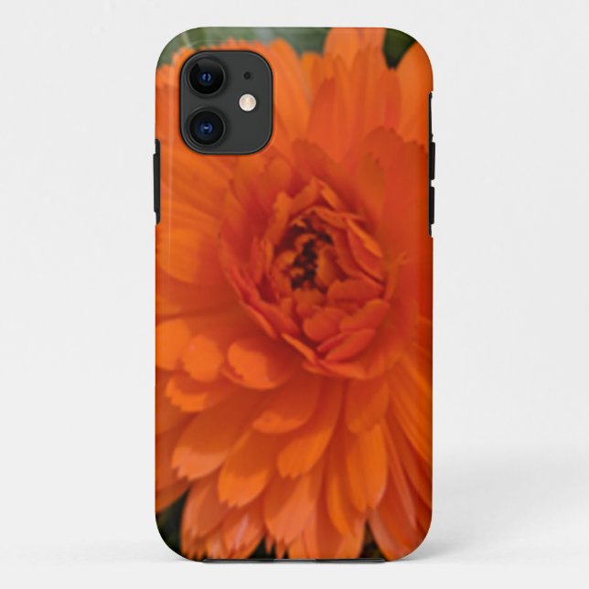 Orange Blume Case-Mate iPhone Hülle (Rückseite)