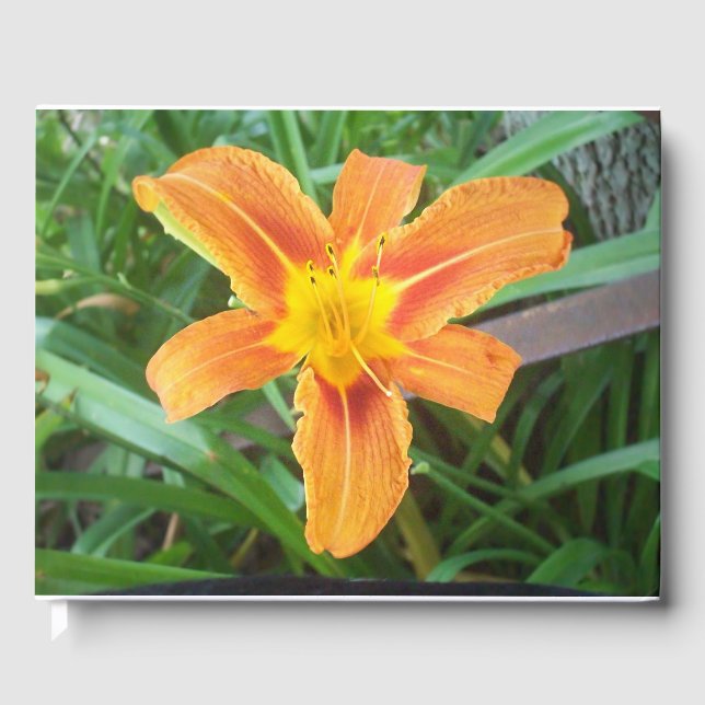 Orange Blume Gästebuch (Vorderseite)