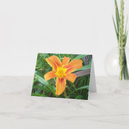 Orange Blume Karte