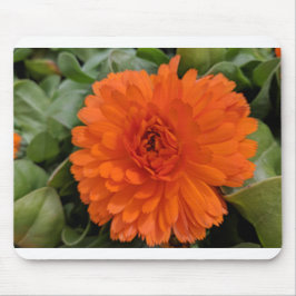 Orange Blume Mousepad