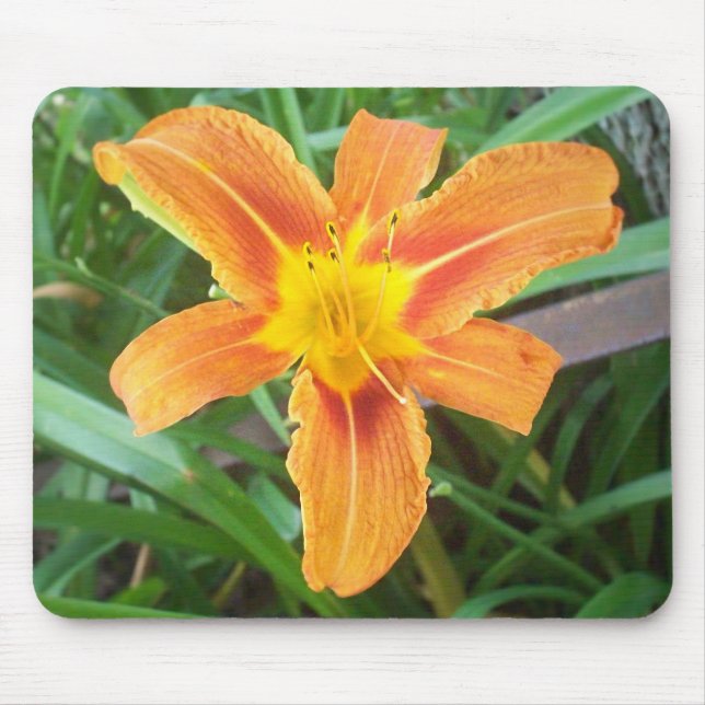 Orange Blume Mousepad (Vorne)