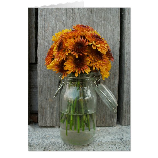 Orange Blumen in der Maurer-Glas-u. (Vorne)