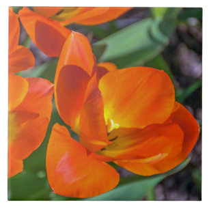 Orange Blumen-Keramikfliese Fliese