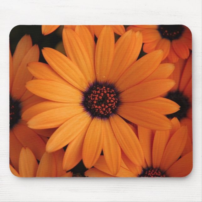 Orange Blumen Mousepad (Vorne)