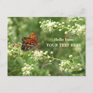 Orange Butterfly Angepasste Postkarte "Hello from"