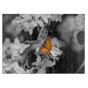 Orange Butterfly auf dem Cutter Schneidebrett