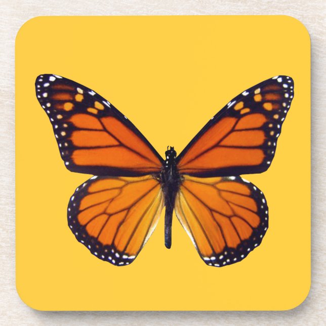 Orange Butterfly Coasters Untersetzer (Vorderseite)